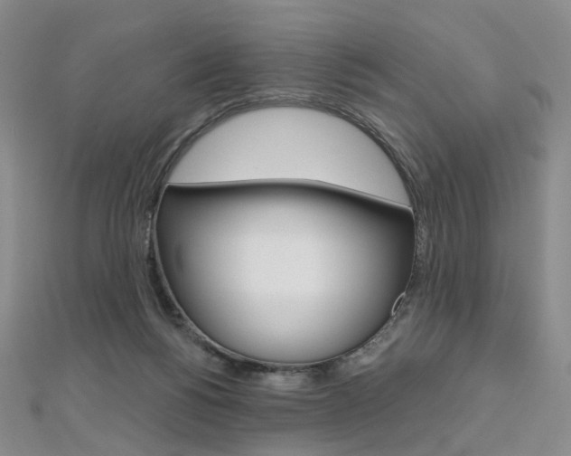 X0000112480168200908171020
