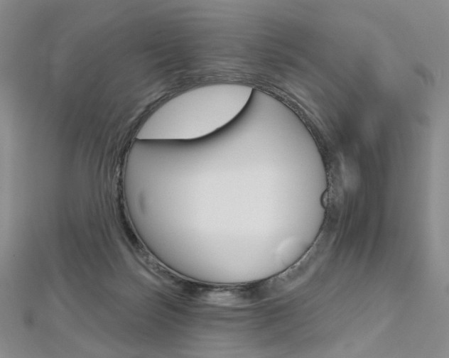 X0000112480171200908171020