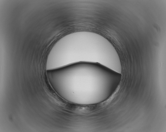X0000112480174200908171020