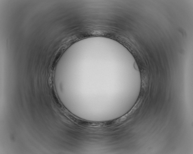 X0000112480175200908171020