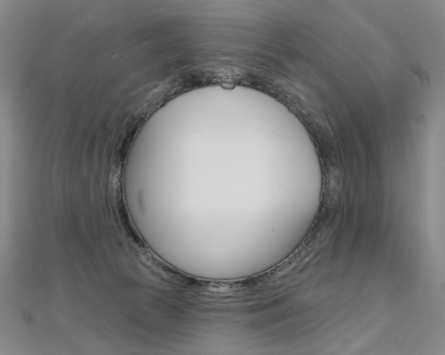 X0000112480177200908171020