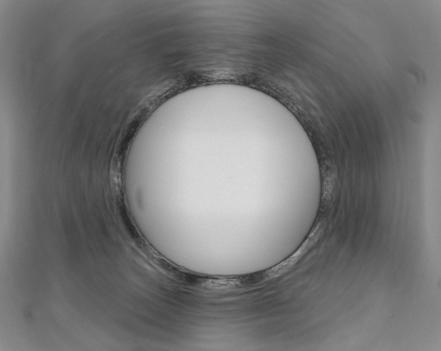 X0000112480179200908171020