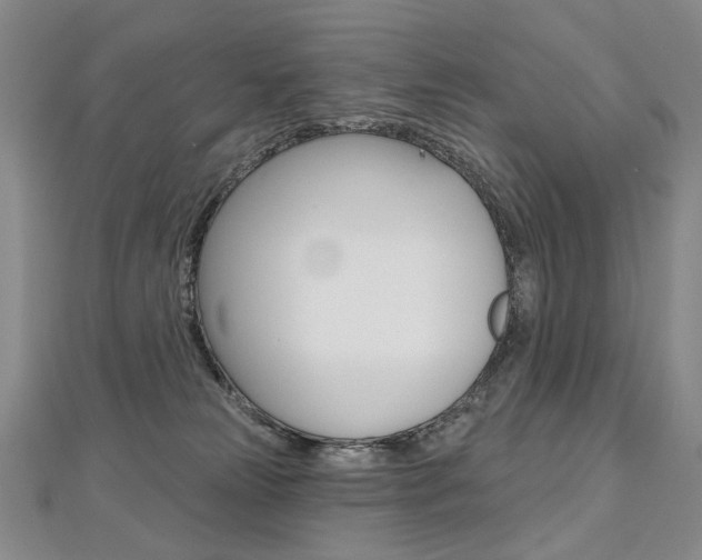 X0000112480181200908171020