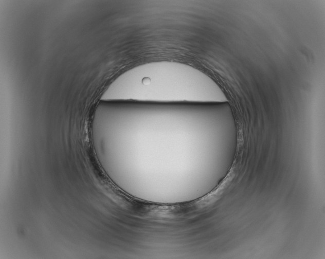 X0000112480182200908171020