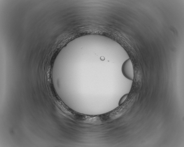 X0000112480185200908171020