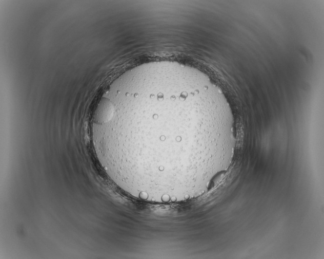 X0000112480187200908171020
