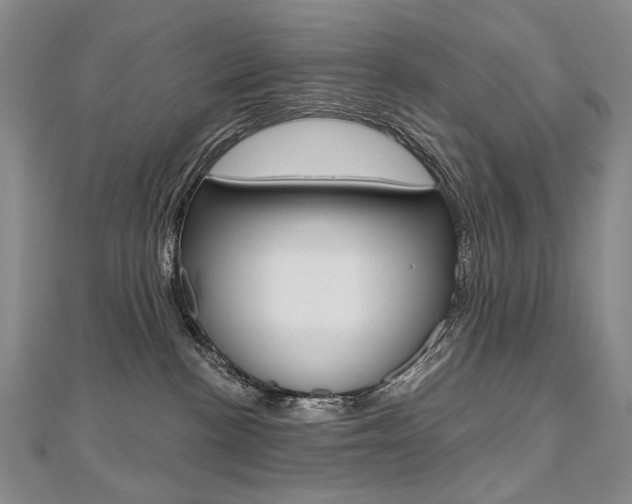 X0000112480188200908171020