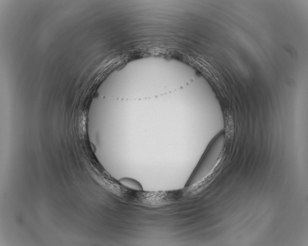 X0000112480191200908171020