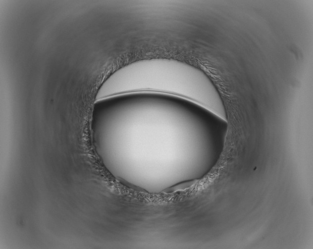 X0000112480192200908171020