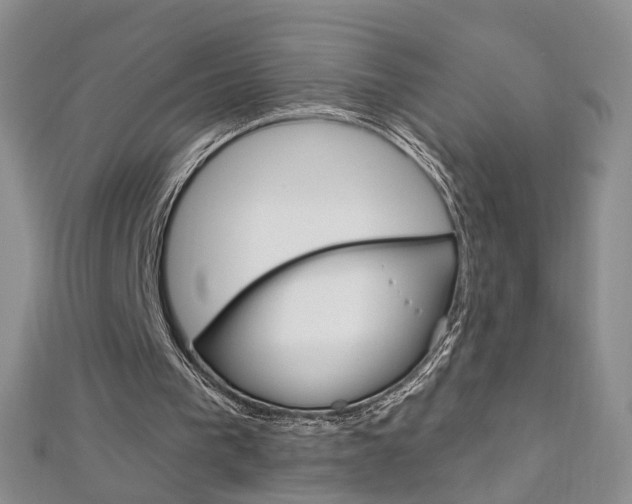 X0000112480193200908171020