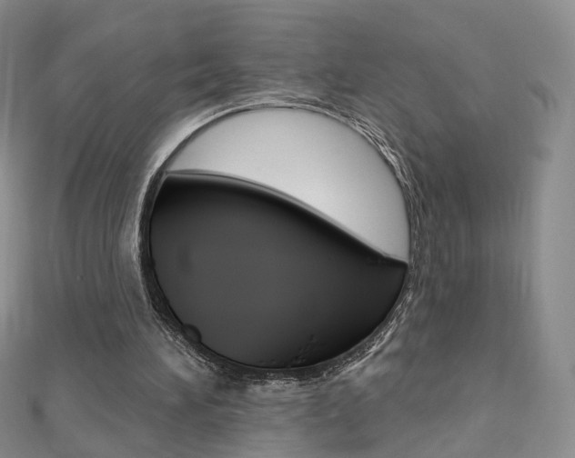 X0000112480196200908171020