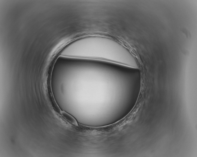 X0000112480197200908171020