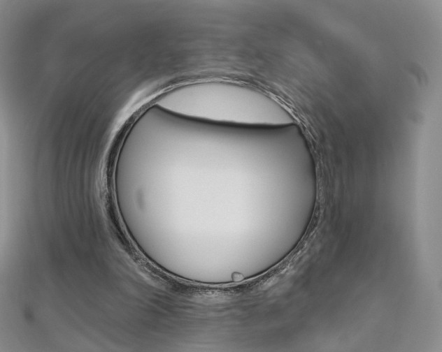 X0000112480198200908171020