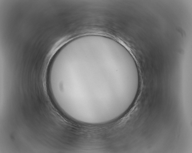 X0000112480199200908171020