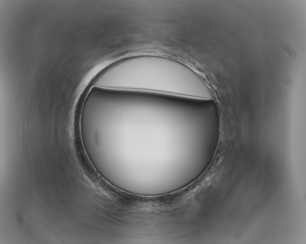X0000112480200200908171019