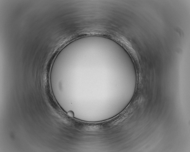 X0000112480202200908171019