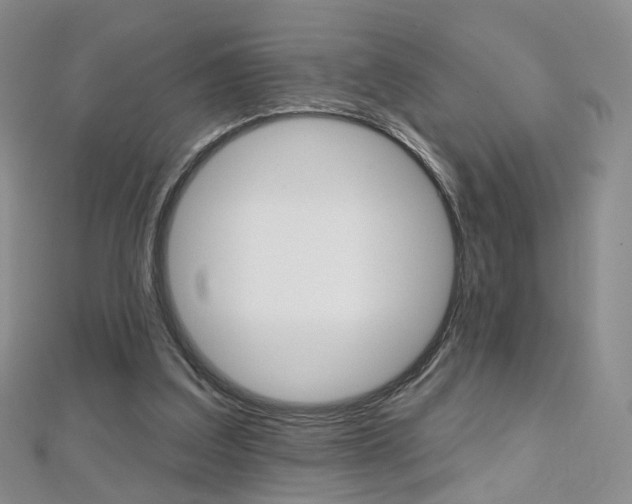 X0000112480203200908171019