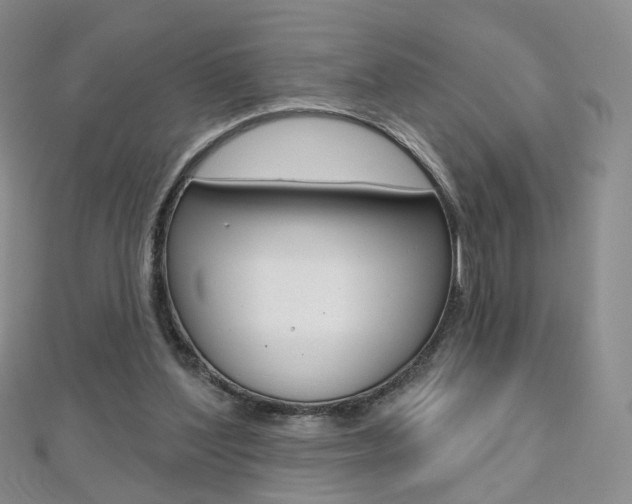 X0000112480204200908171019