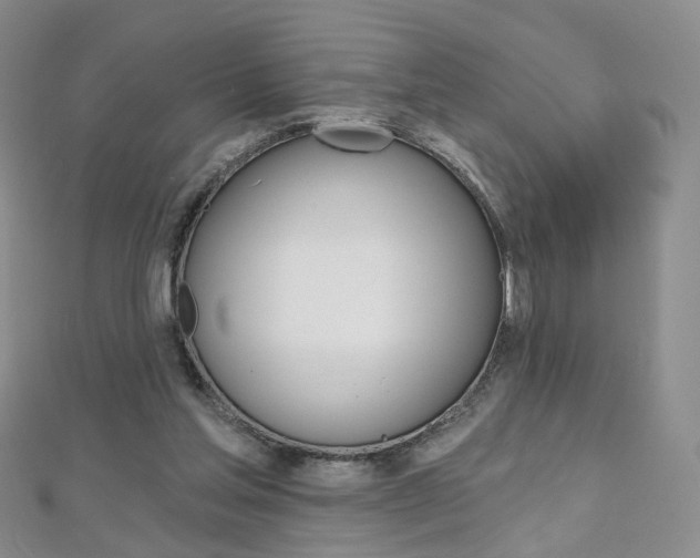 X0000112480205200908171019