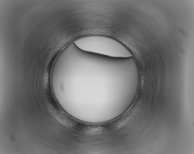 X0000112480206200908171019