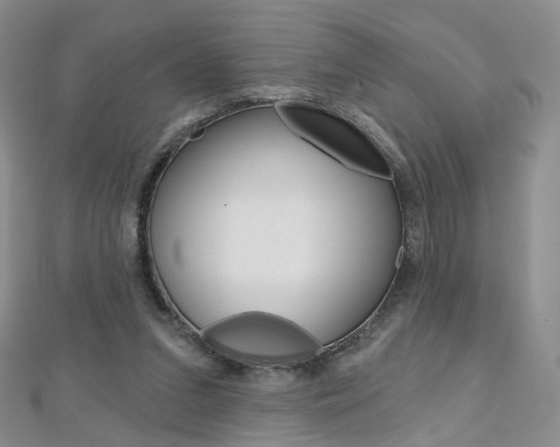 X0000112480207200908171019