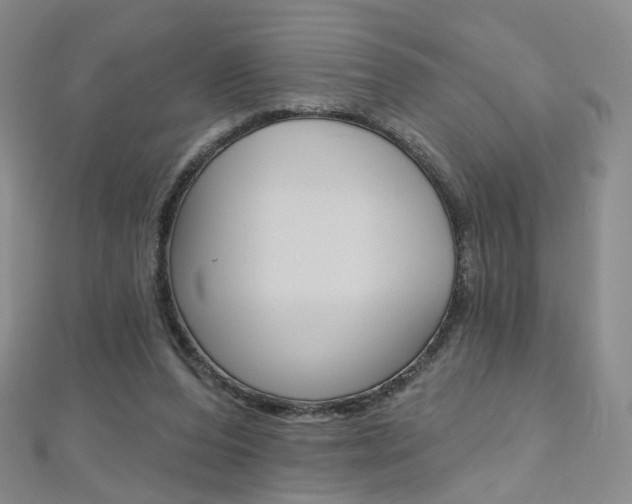 X0000112480208200908171019