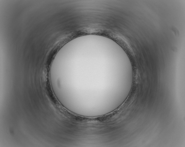X0000112480210200908171019