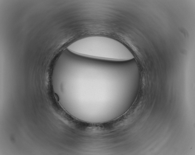 X0000112480211200908171019