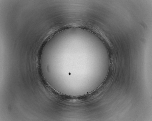 X0000112480212200908171019