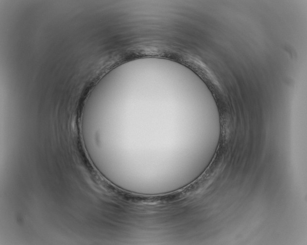 X0000112480213200908171019