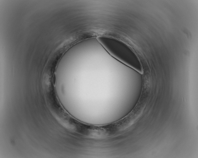 X0000112480215200908171019