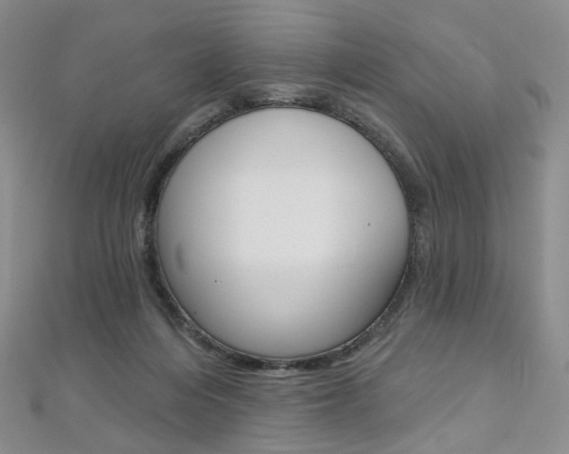 X0000112480216200908171019