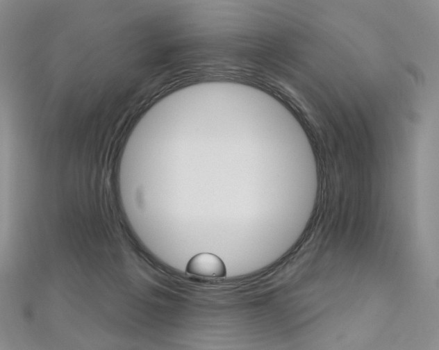 X0000112480217200908171019