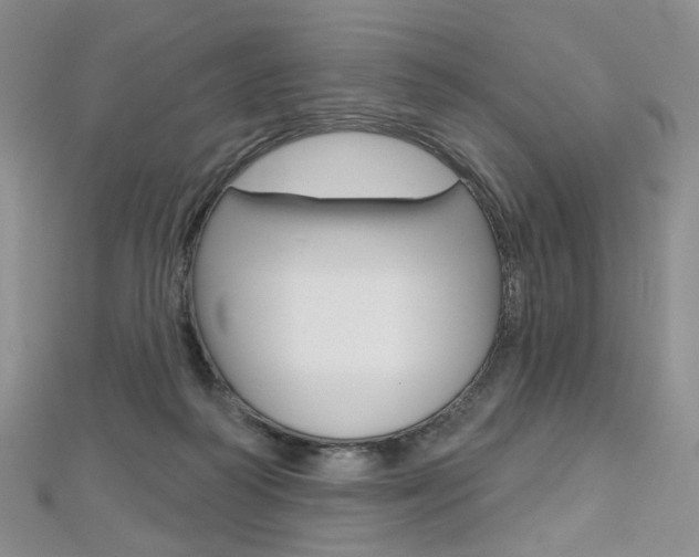 X0000112480218200908171019