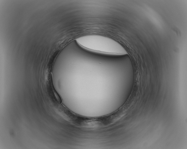 X0000112480219200908171019