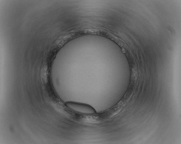 X0000112480223200908171019