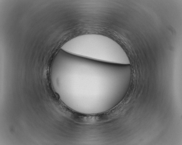 X0000112480225200908171019