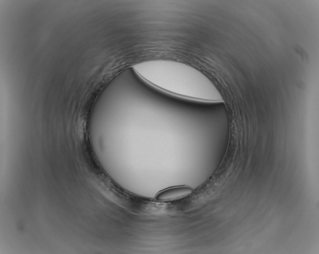 X0000112480227200908171019