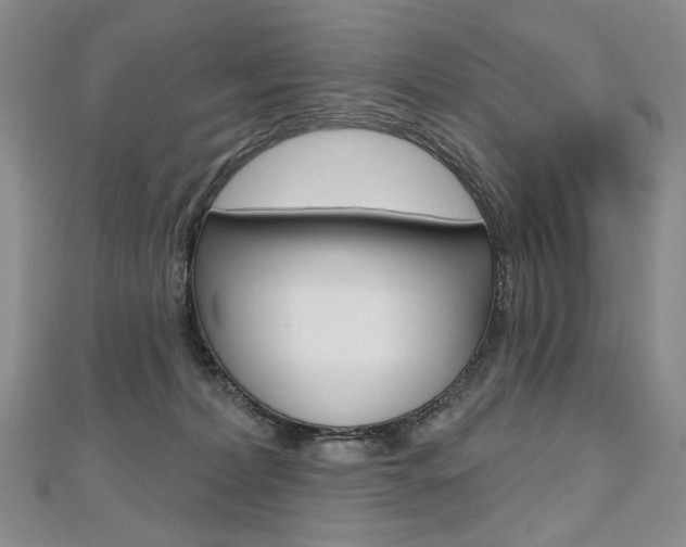 X0000112480228200908171019