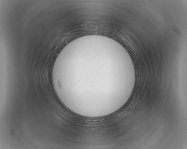 X0000112480229200908171019