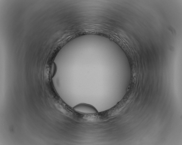 X0000112480231200908171019