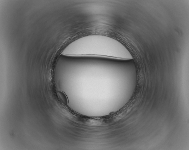 X0000112480232200908171019