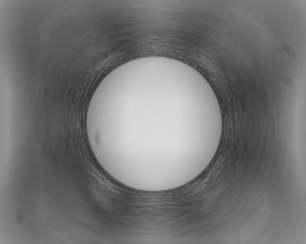 X0000112480233200908171019