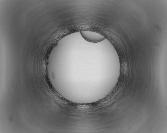 X0000112480234200908171019