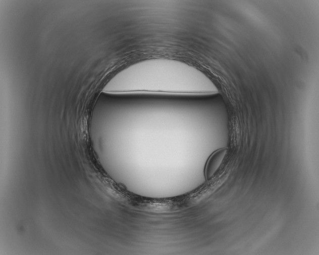 X0000112480236200908171019