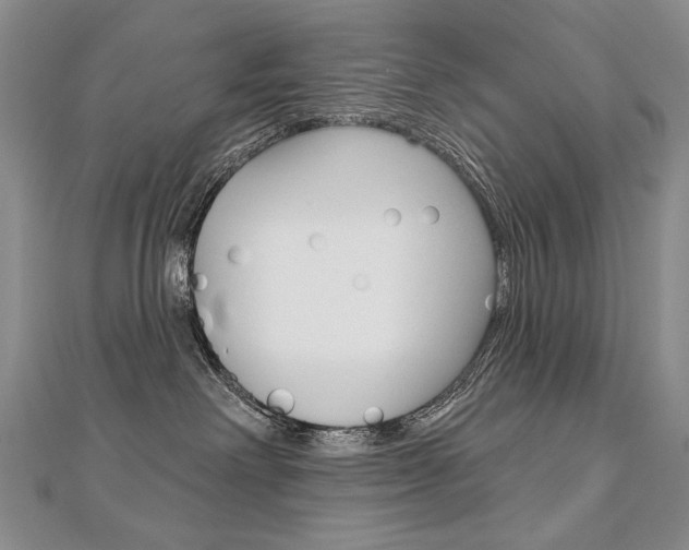 X0000112480238200908171019