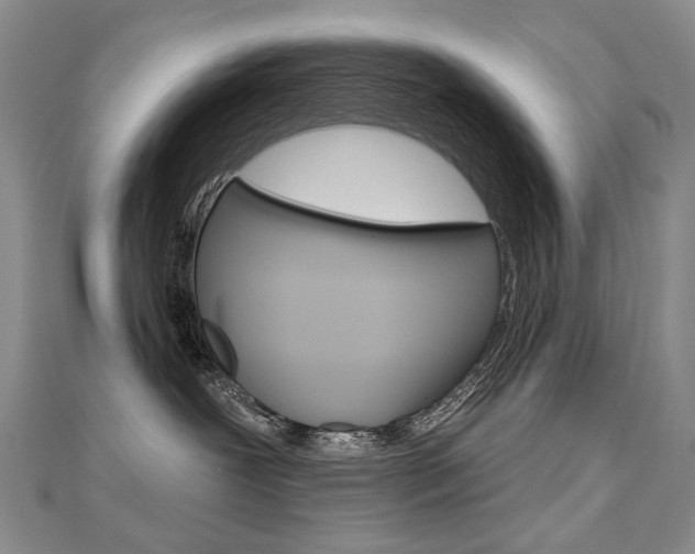 X0000112480239200908171019