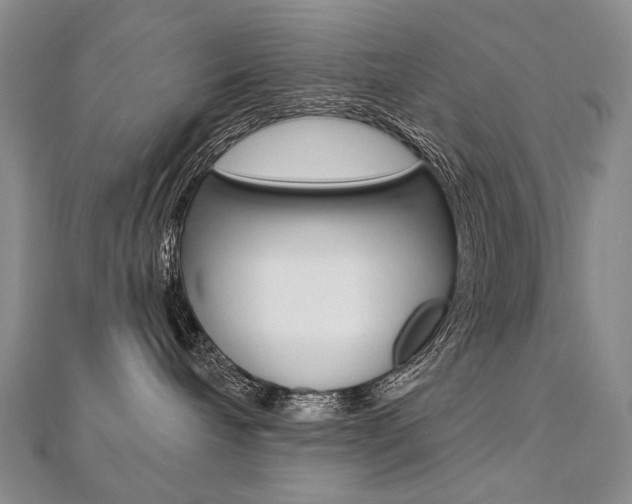 X0000112480240200908171019