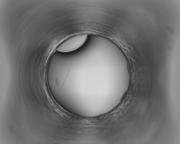 X0000112480241200908171018