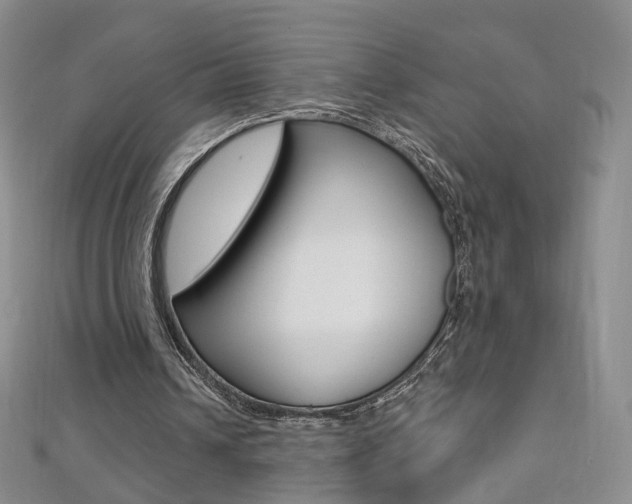 X0000112480242200908171018